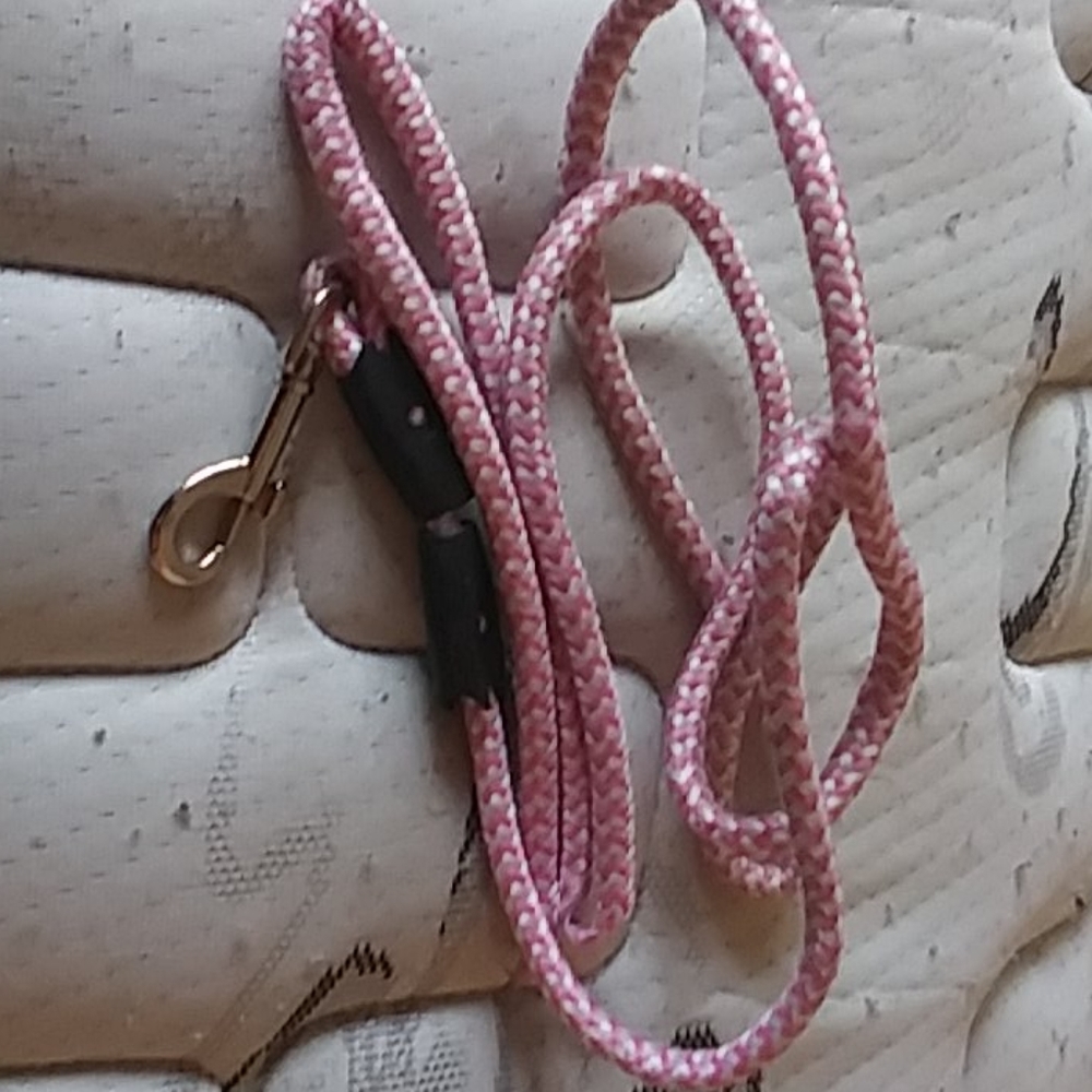 Dog leash